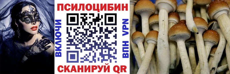 Галлюциногенные грибы Psilocybine cubensis  blacksprut ССЫЛКА  Лянтор 